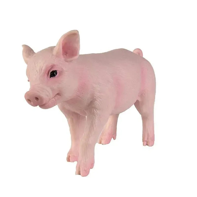 Safari Piglet Incredible Creatures