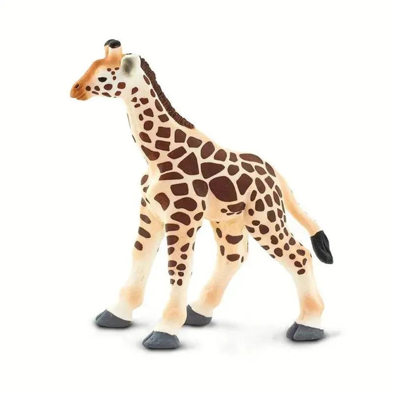 Safari – Giraffe Baby