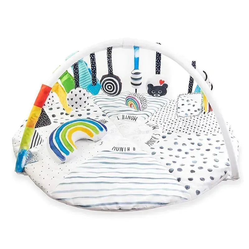 Sassy – Milestone Activity Gym