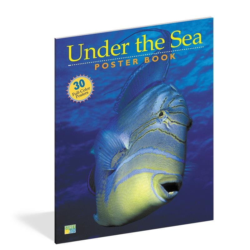 Workman Publishing Pbs Kids Under The Sea Book