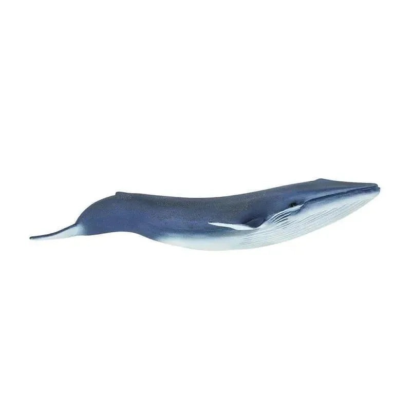 Safari Ltd Blue Whale Wild Safari Sea Life