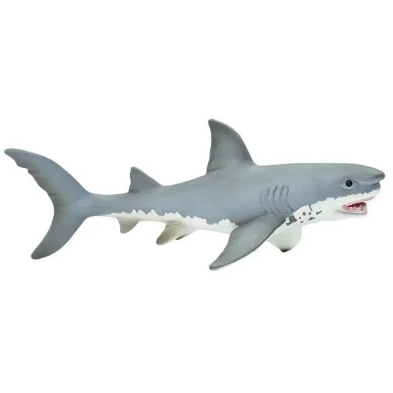 Safari – Great White Shark