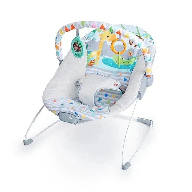 Bright Starts – Baby Bouncer Soothing Vibrations Infant Seat