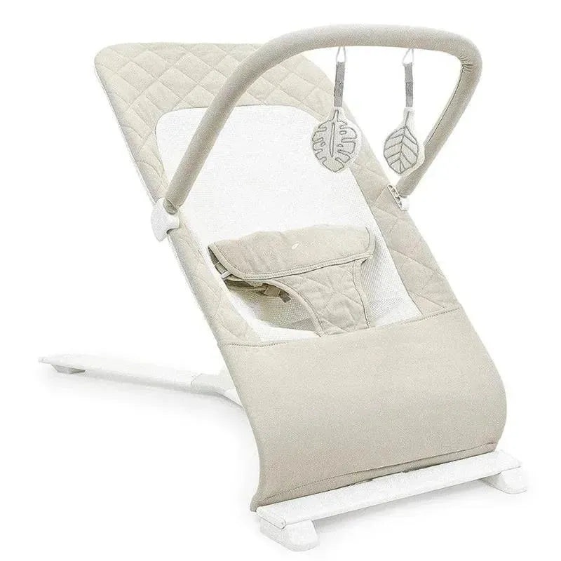 Baby Delight – Alpine Deluxe Portable Bouncer, Organic Oat