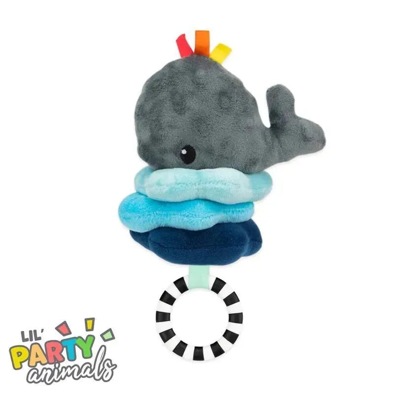 Sassy – Wavy Whale Jitter