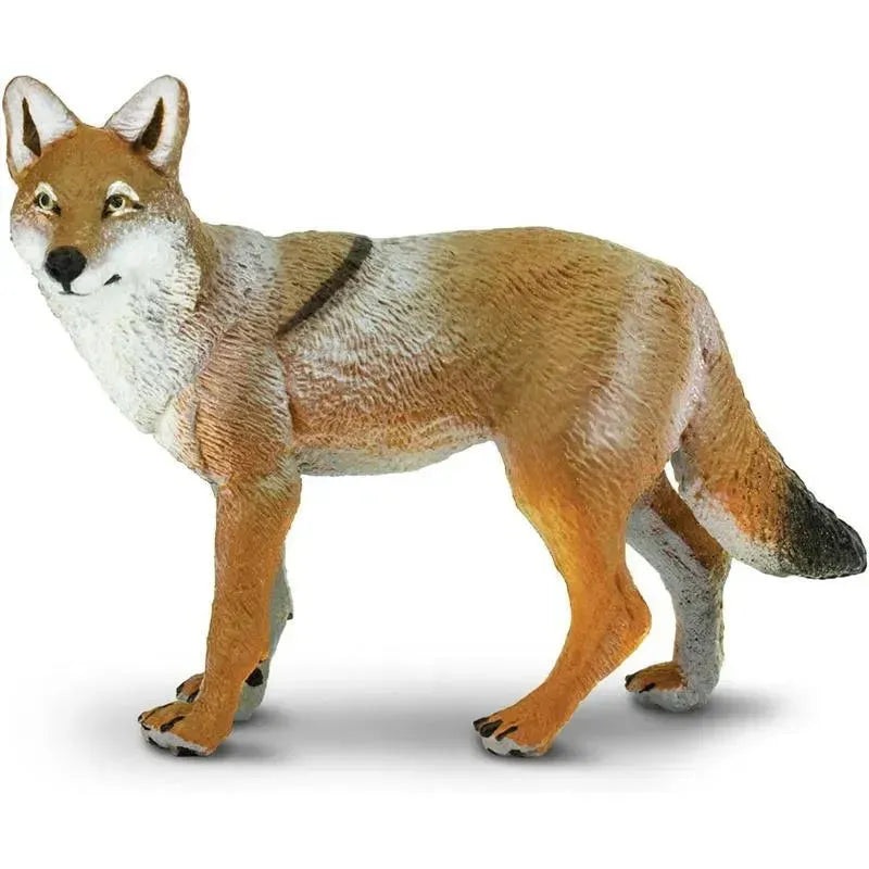 Safari Ltd. – Coyote Figurine, Lifelike 3.75 Figure
