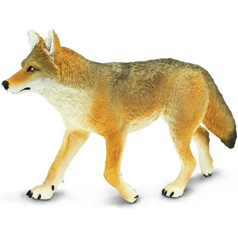 Safari Ltd. – Coyote Toy Figurine, Detailed 6.5 Figure