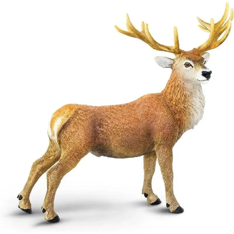 Safari Ltd. – Red Deer Stag Figurine, Detailed 4.75 Figure