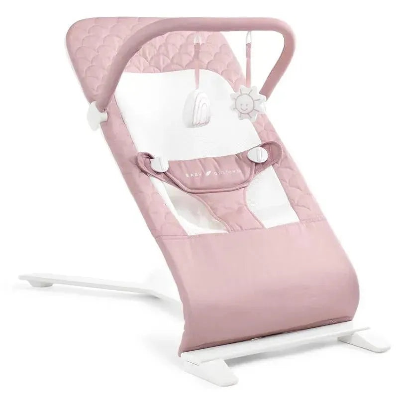 Baby Delight – Alpine Deluxe Portable Bouncer, 0-6 months, Organic Rose