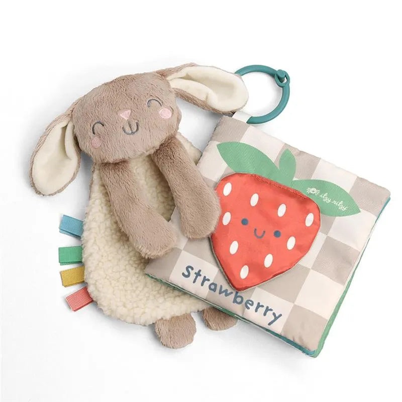 Itzy Ritzy – Itzy Learn & Snuggle Gitf Set, Bunny