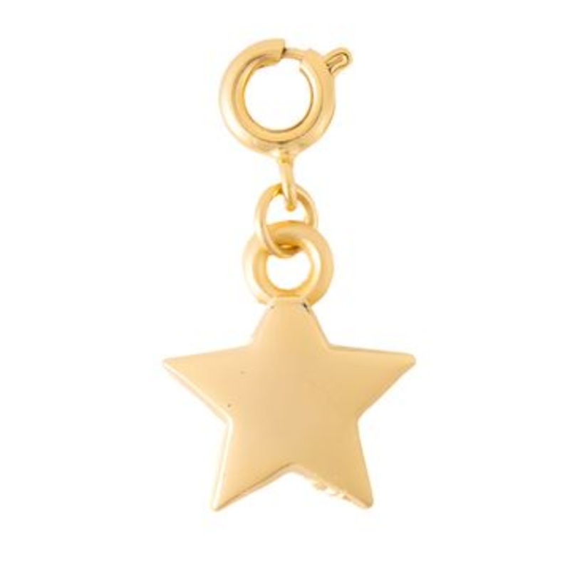 The Crown Matte Gold Star Charm