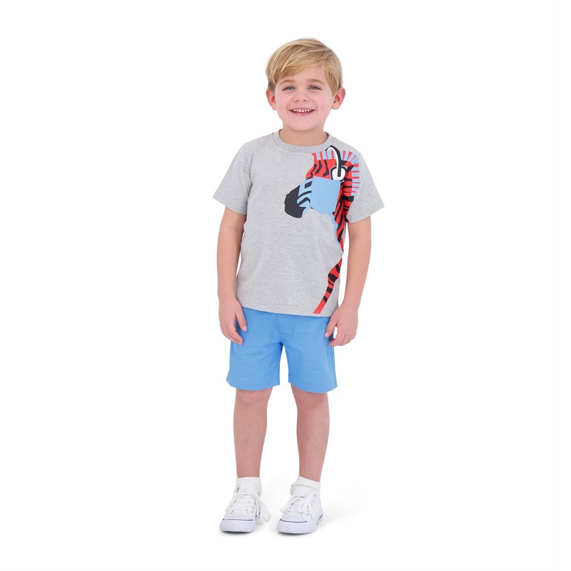 Grey Zebra 2pc Set 2T
