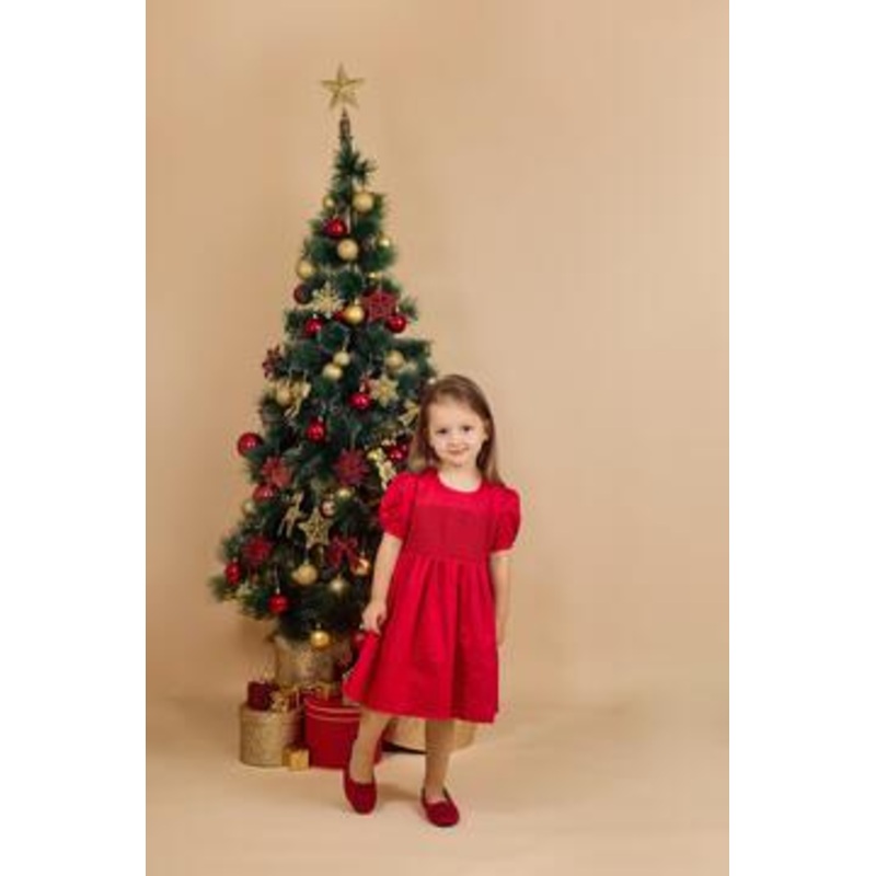 Dress Red Smocked Bodice 2T