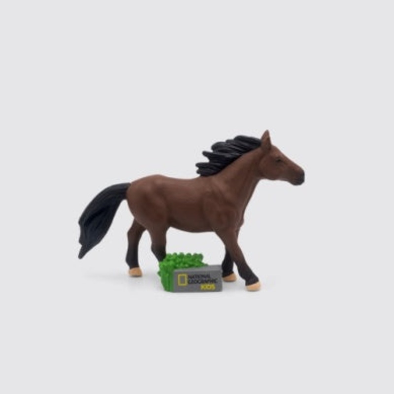 National Geographic Horses
