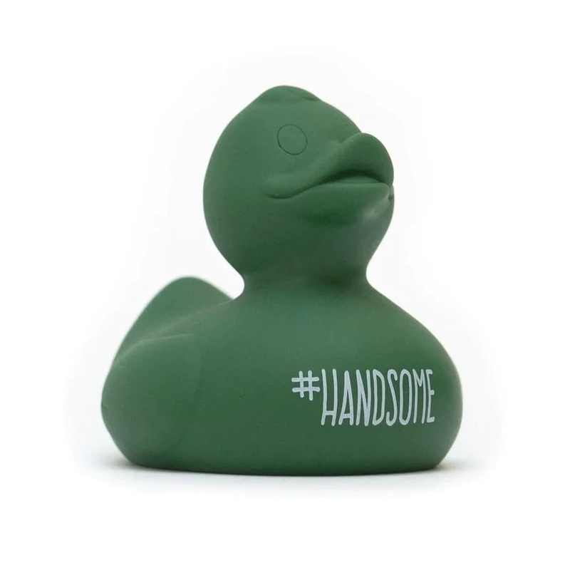 Handsome Wonder Duck