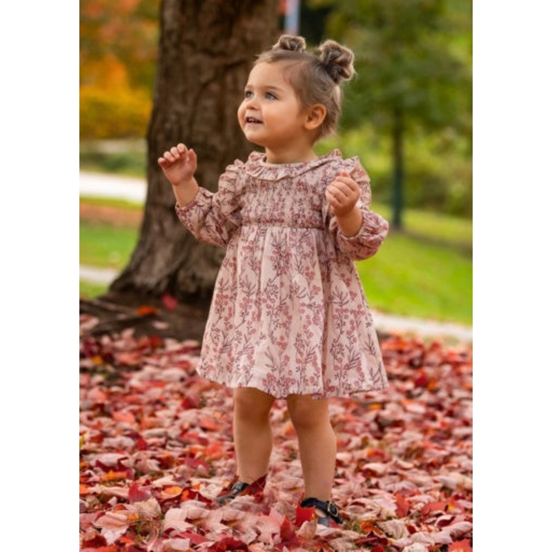 Mabel + Honey Autumn Dress 2T