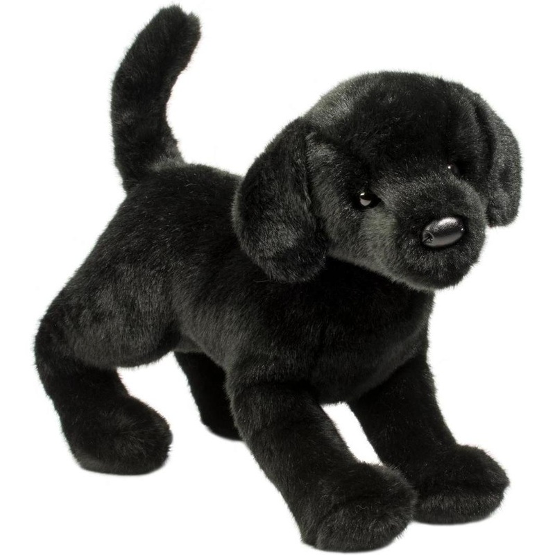 Douglas Chester Black Lab