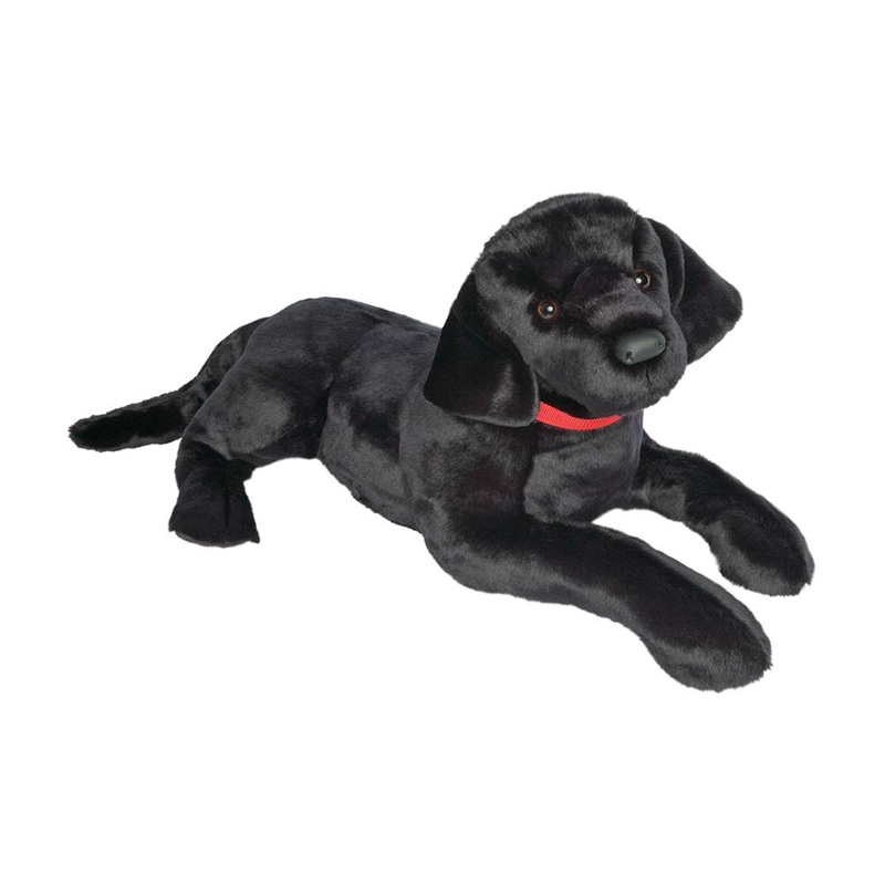 Douglas Dickens Black Lab