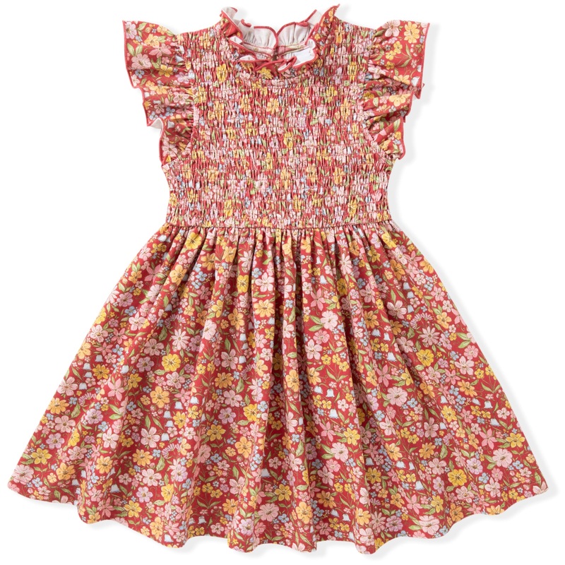 Swoon Baby Clothing Autumn Smock Flutter Dress 2T