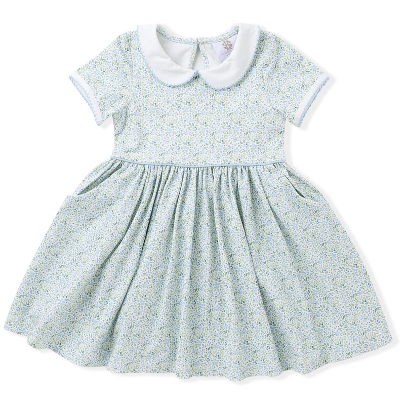 Swoon Baby Clothing Blue Floral Proper Dress 2T